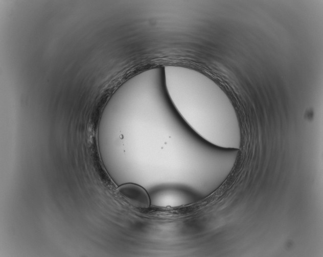 X0000090870555200707270957