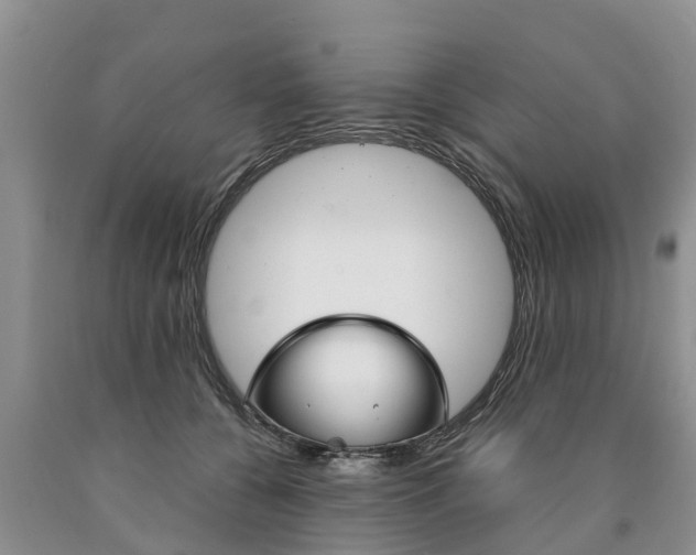 X0000090870560200707270957