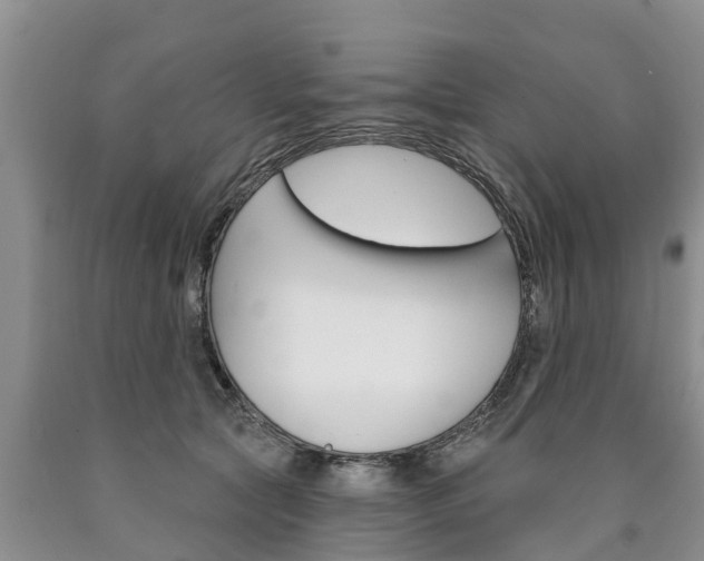 X0000090870561200707270957
