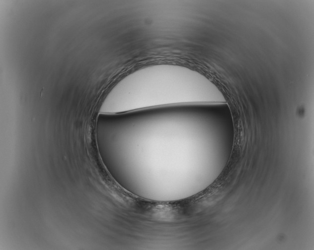 X0000090870562200707270957