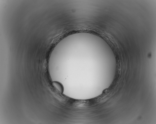 X0000090870563200707270957
