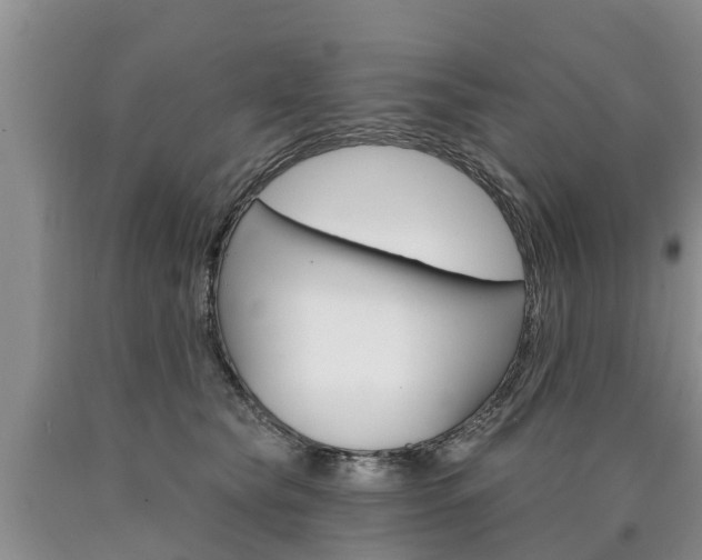 X0000090870565200707270957