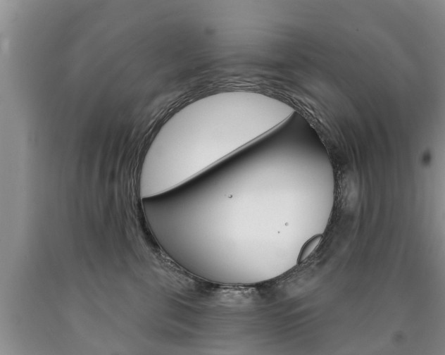 X0000090870571200707270957