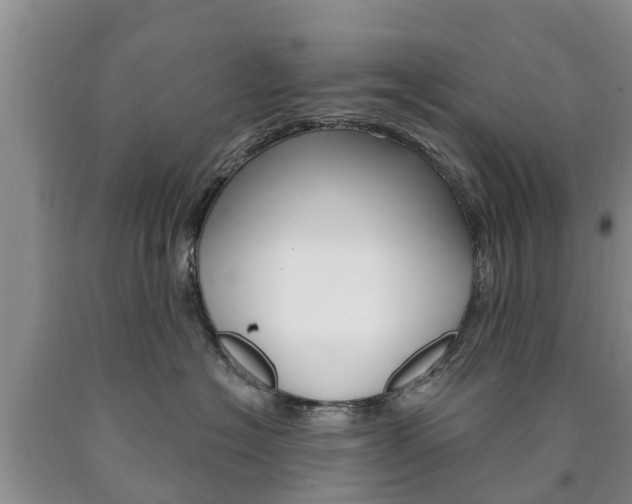 X0000090870574200707270957