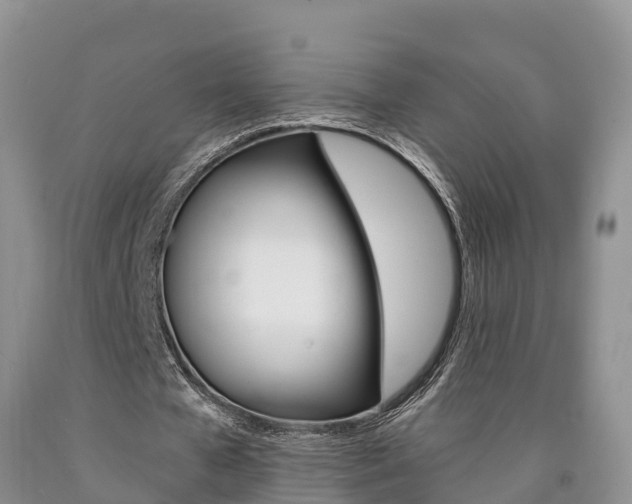 X0000090870577200707270957