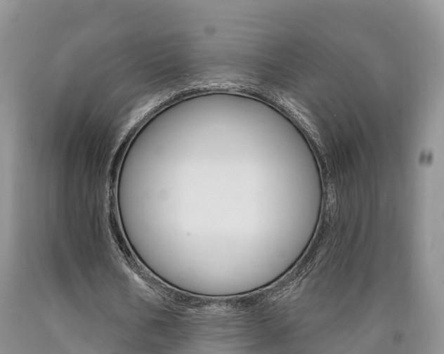 X0000090870578200707270957
