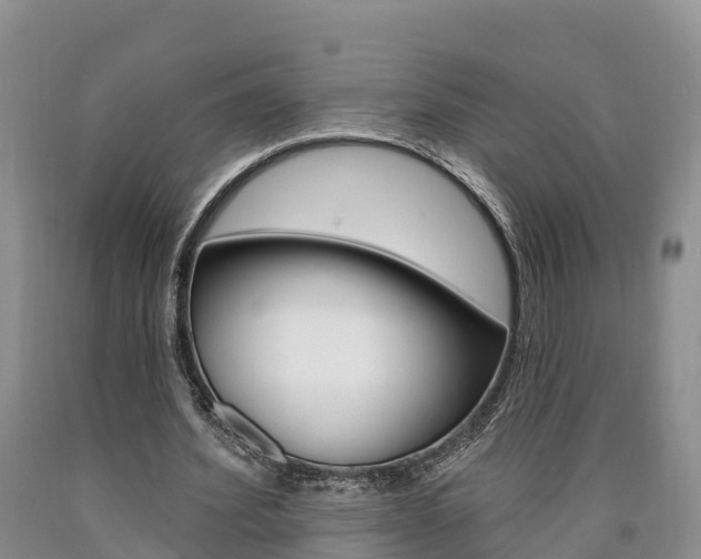 X0000090870580200707270957