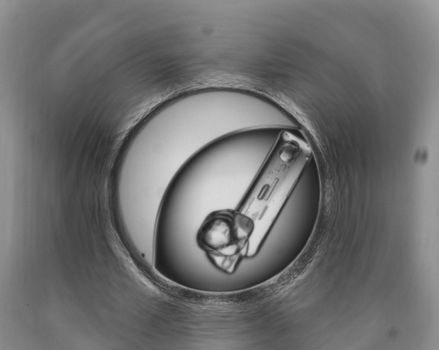 X0000090870581200707270957