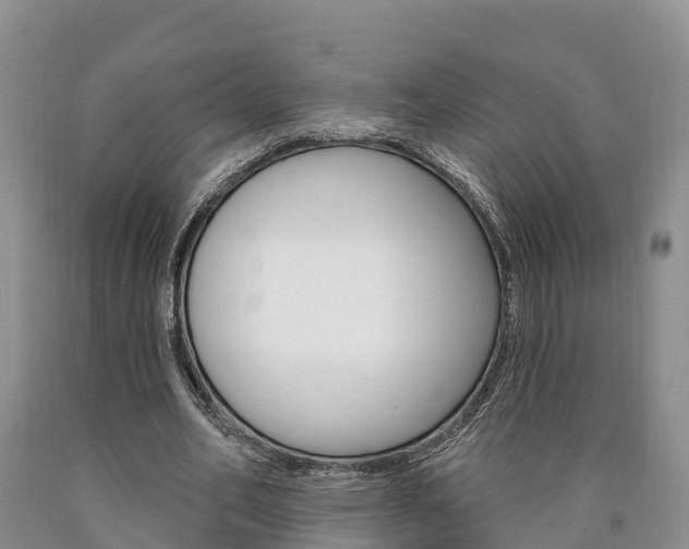 X0000090870582200707270957