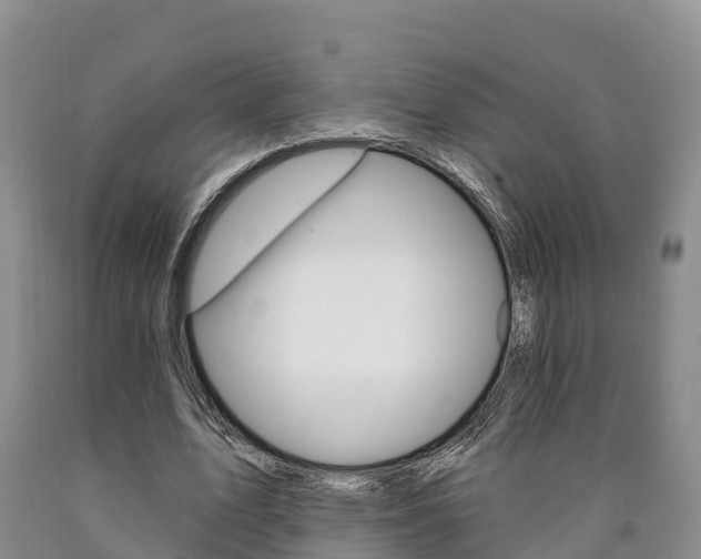 X0000090870583200707270957