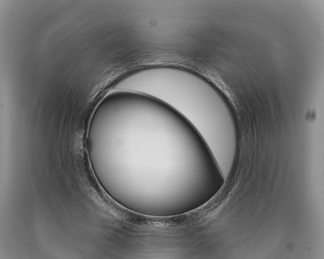 X0000090870585200707270957