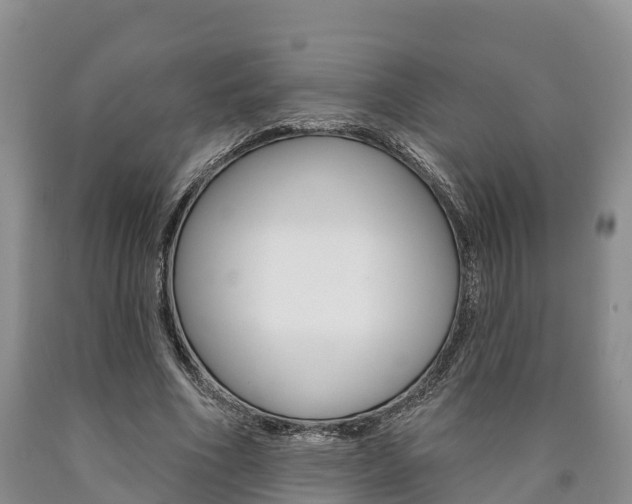 X0000090870586200707270957
