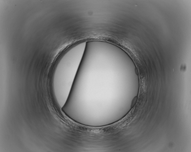 X0000090870587200707270957