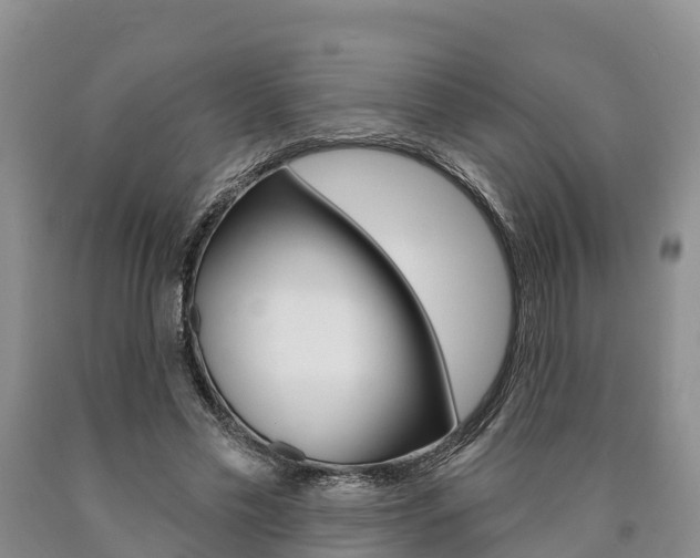 X0000090870589200707270957