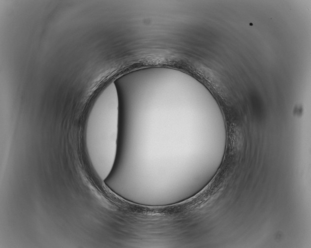 X0000090870590200707270957