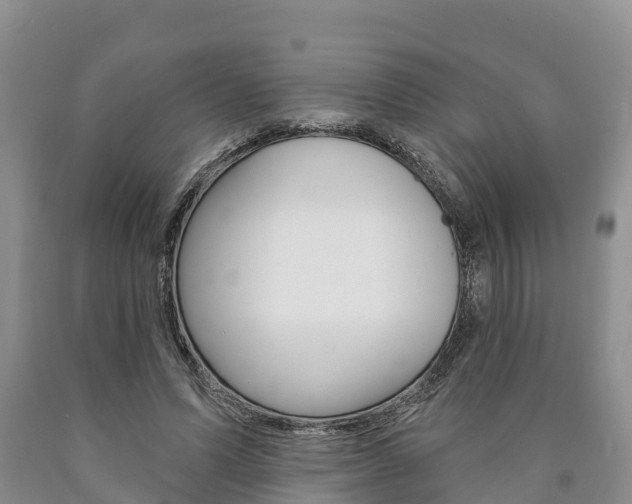 X0000090870591200707270957