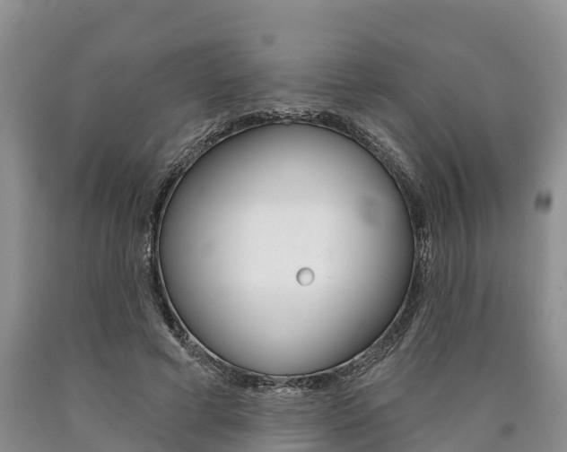 X0000090870593200707270956