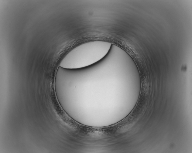 X0000090870594200707270956