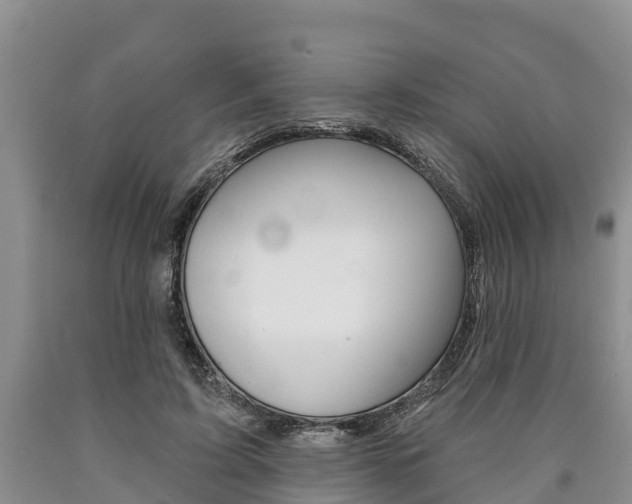 X0000090870595200707270956