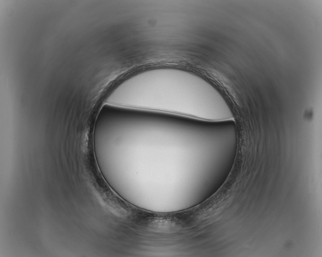 X0000090870596200707270956