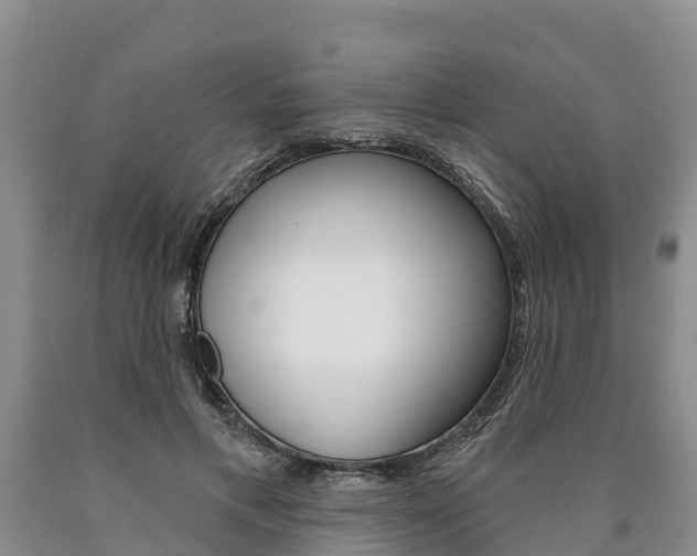 X0000090870597200707270956