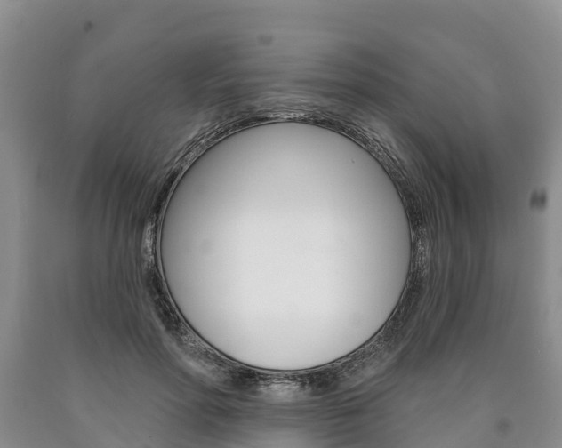 X0000090870598200707270956