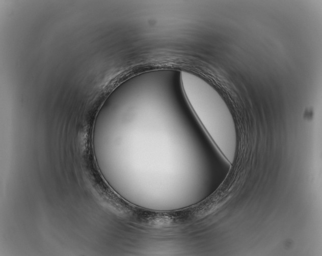 X0000090870600200707270956