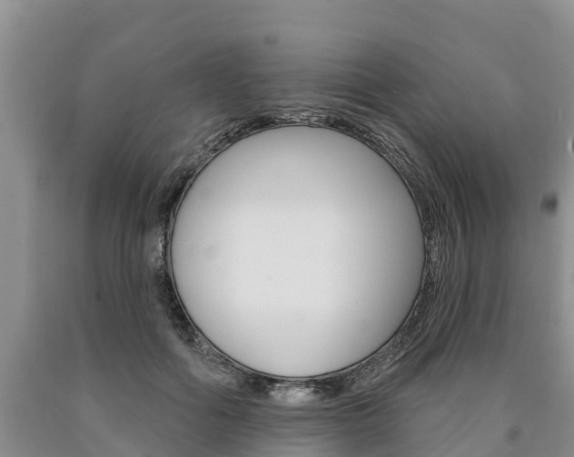 X0000090870602200707270956