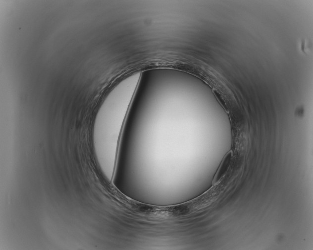X0000090870604200707270956