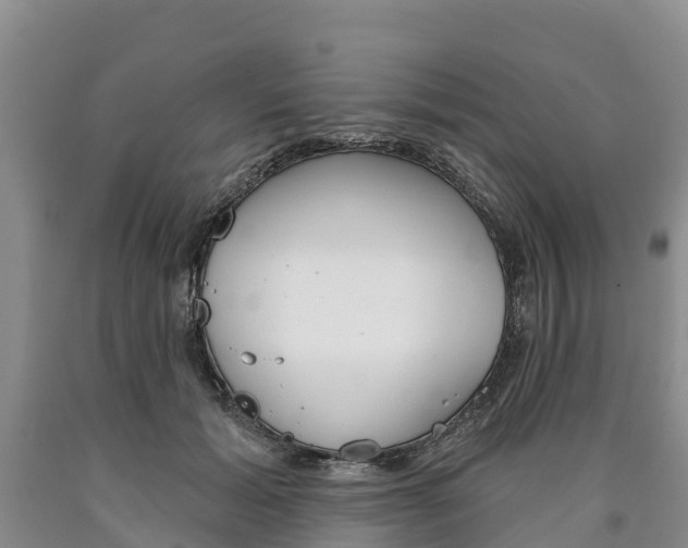 X0000090870605200707270956