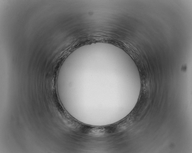 X0000090870606200707270956