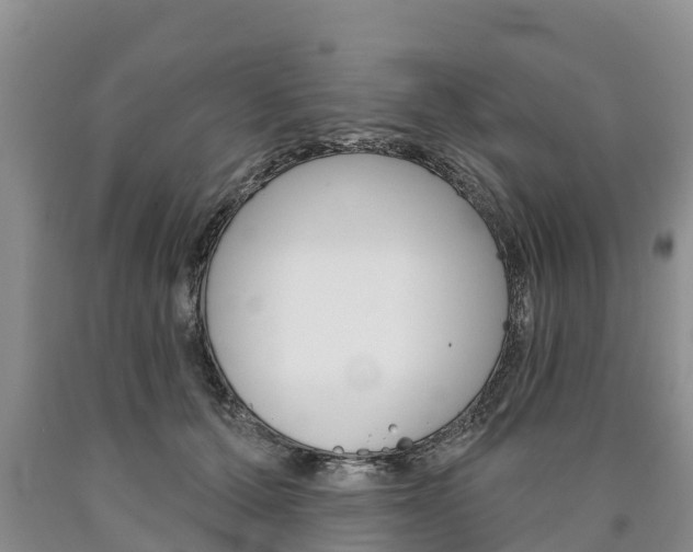 X0000090870607200707270956