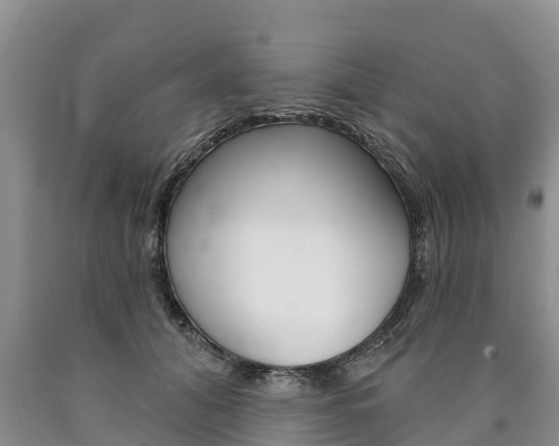 X0000090870608200707270956