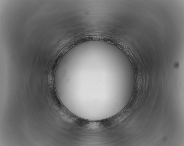 X0000090870609200707270956