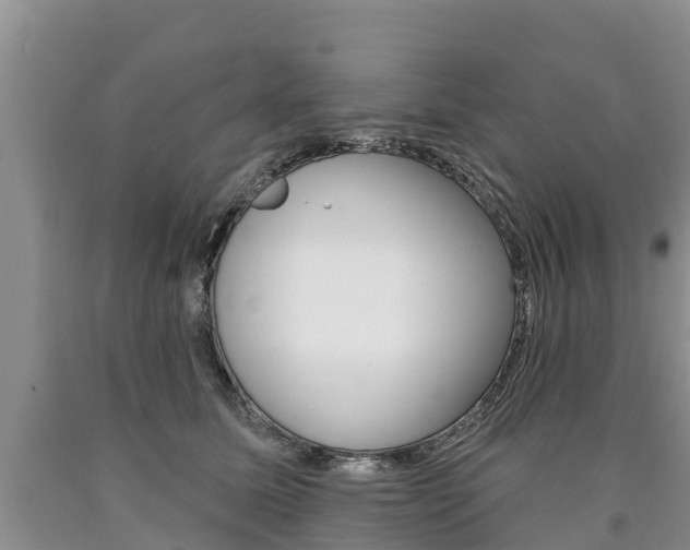 X0000090870611200707270956