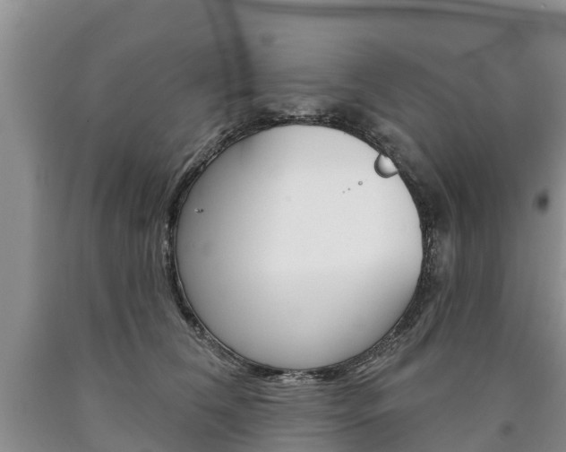 X0000090870612200707270956