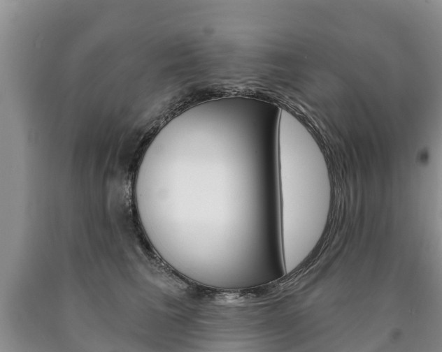 X0000090870613200707270956