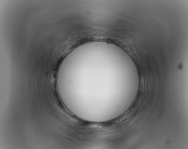 X0000090870614200707270956