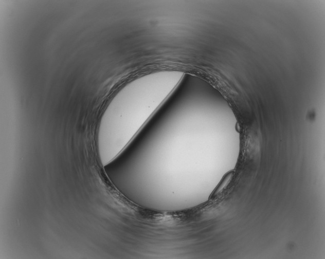 X0000090870616200707270956
