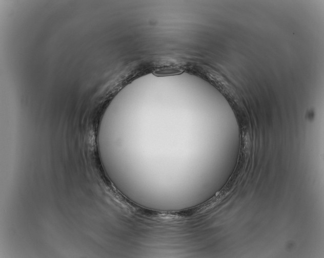 X0000090870617200707270956