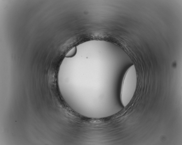 X0000090870619200707270956