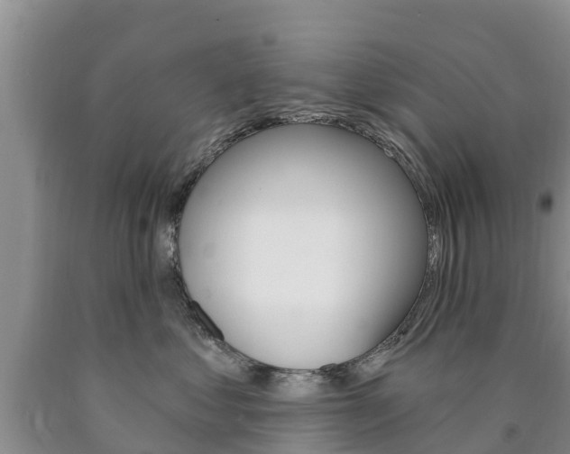 X0000090870621200707270956