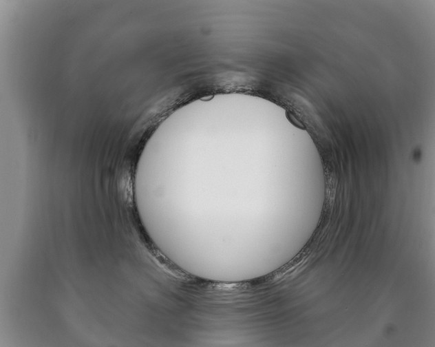 X0000090870622200707270956