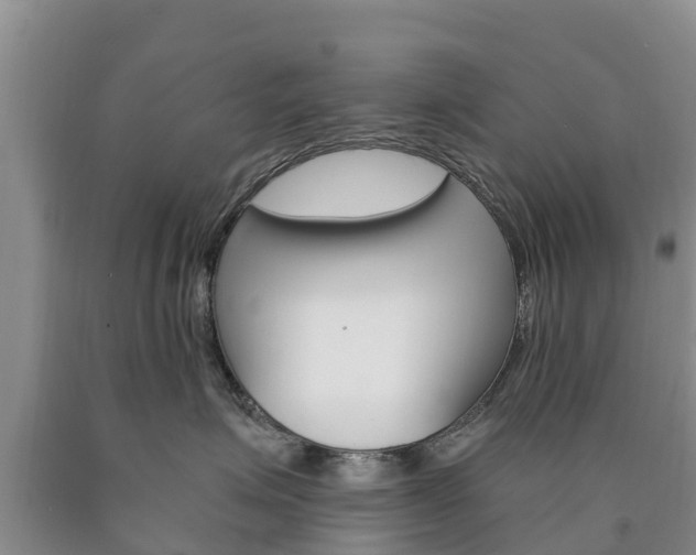 X0000090870623200707270956