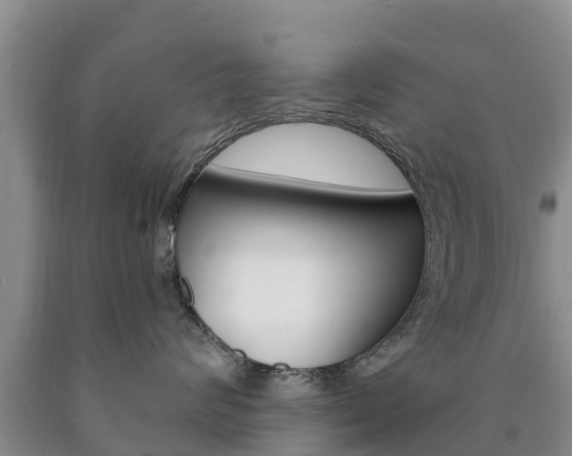 X0000090870624200707270956
