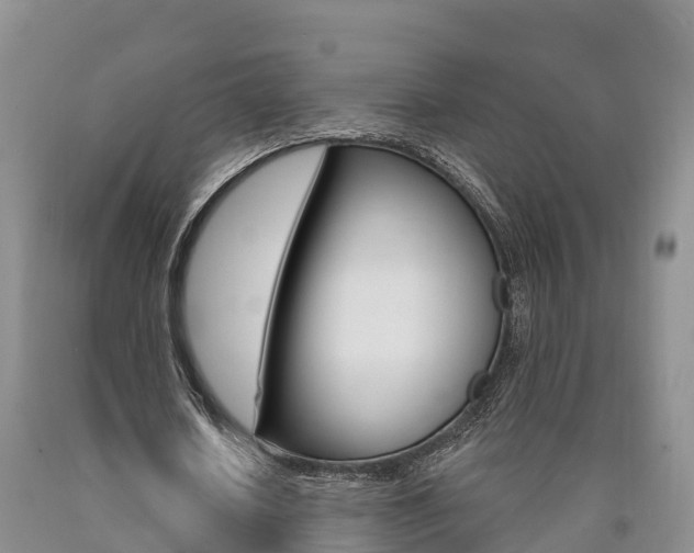 X0000090870626200707270955