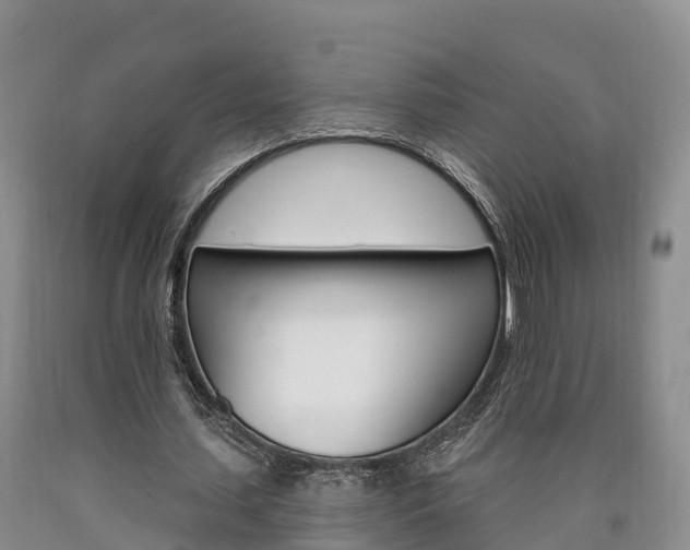 X0000090870627200707270955