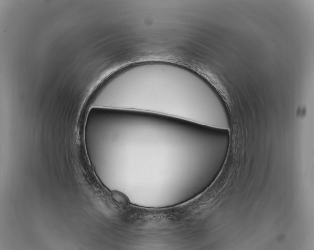 X0000090870628200707270955