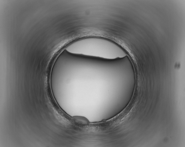 X0000090870629200707270955