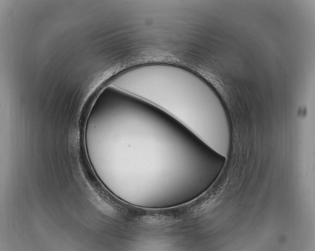 X0000090870630200707270955